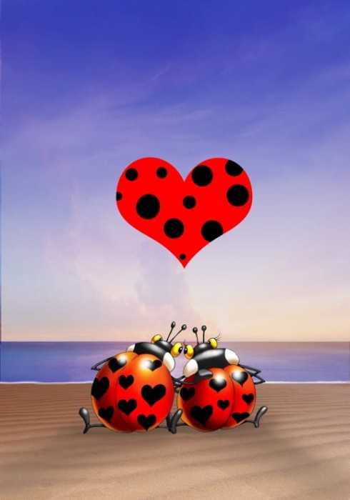 francois-ruyer-love-puzzle-1000-pieces.54639-1.fs.jpg