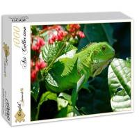 iguane-puzzle-1000-pieces.53020-2.fs.jpg