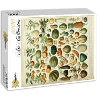 illustration-du-nouveau-larousse-illustre-fruits-xixe-siecle-puzzle-1000-pieces.46870-2.fs.jpg