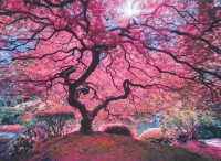 perre-anatolian-pink-tree-jigsaw-puzzle-1000-pieces.82670-1.fs.jpg