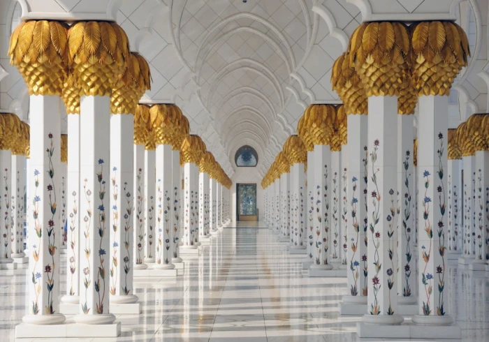 mosquee-cheikh-zayed-abou-dabi-emirats-arabes-unis-puzzle-1000-pieces.55600-1.fs.jpg