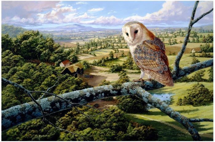 wooden-puzzle-barn-owl-jigsaw-puzzle-250-pieces.76532-1.fs.jpg