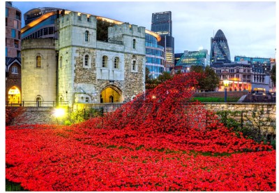 Wentworth 250 - Tower of London Remembrance