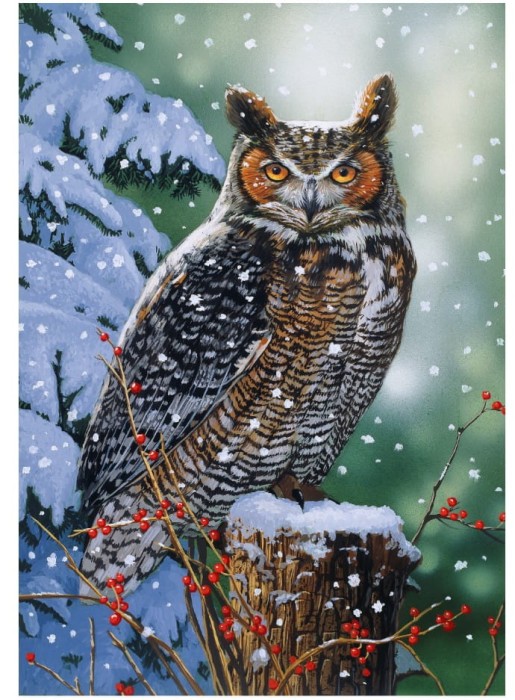 wooden-puzzle-silent-watch-jigsaw-puzzle-250-pieces.76571-1.fs.jpg