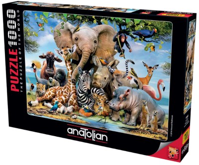 Anatolian 1000 - Howard Robinson, Africa Smile