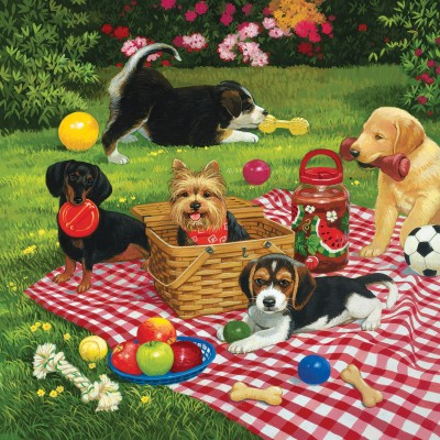 SunsOut 500 - William Vanderdasson - Puppies take over