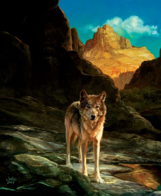 SunsOut 1000 - Julie Bell - Lone Wolf