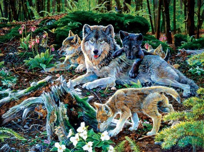 SunsOut 500 - Jan Martin Mcguire - Forest Wolf Family
