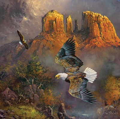 SunsOut 500 - Ted Blaylock - Sedona Eagles