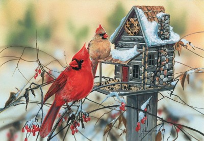 SunsOut 500 - Janene Grende - Cardinal's Rustic Retreat