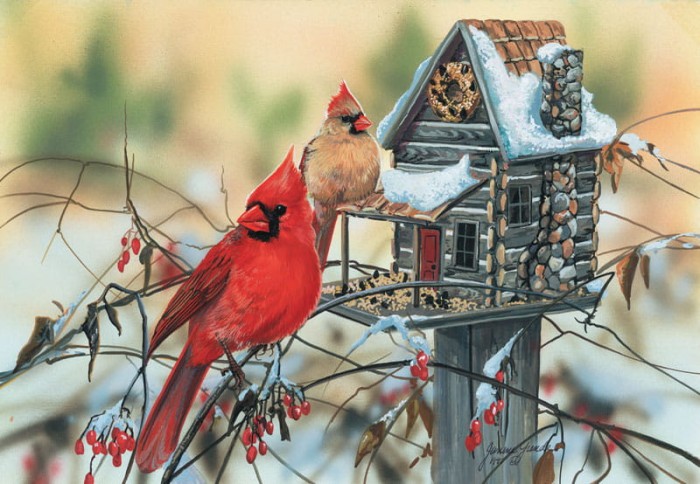 janene-grende-cardinals-rustic-retreat-jigsaw-puzzle-500-pieces.82456-1.fs.jpg